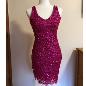 Hot Pink Sequin Dress